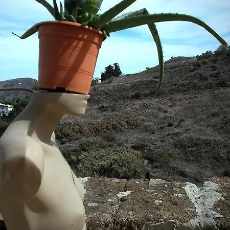 Auberge de jeunesse Camino Art Hostel, San Mateo *